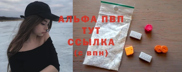 эйфоретик Бородино