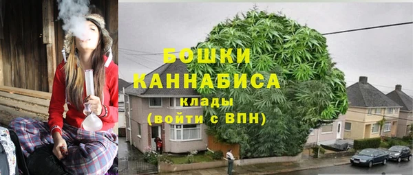 эйфоретик Бородино