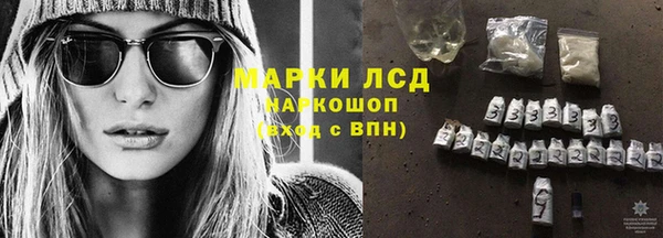 эйфоретик Бородино